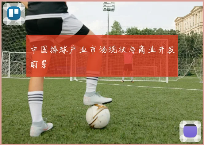 中国排球产业市场现状与商业开发前景