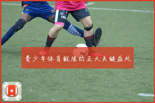 青少年体育锻炼的五大关键益处