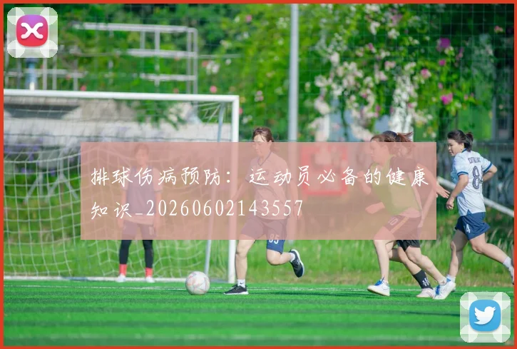 排球伤病预防：运动员必备的健康知识_20260602143557