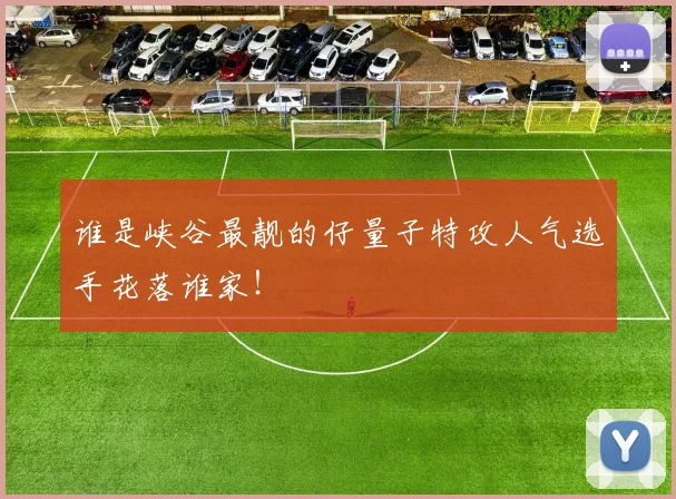 谁是峡谷最靓的仔量子特攻人气选手花落谁家！