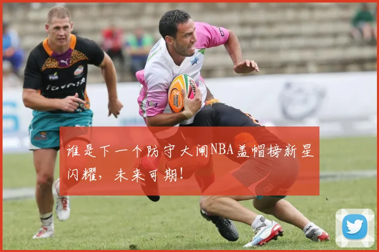 谁是下一个防守大闸NBA盖帽榜新星闪耀,未来可期!