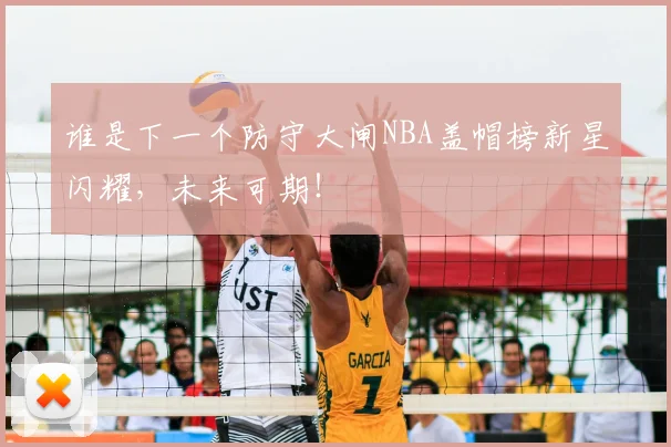 谁是下一个防守大闸NBA盖帽榜新星闪耀，未来可期！