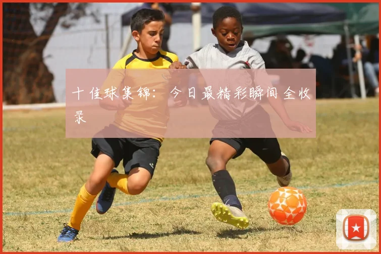 十佳球集锦:今日最精彩瞬间全收录